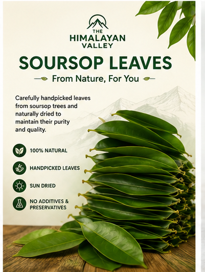 The Himalayan Valley™ Soursop leaves- Pack of 100 Leaves