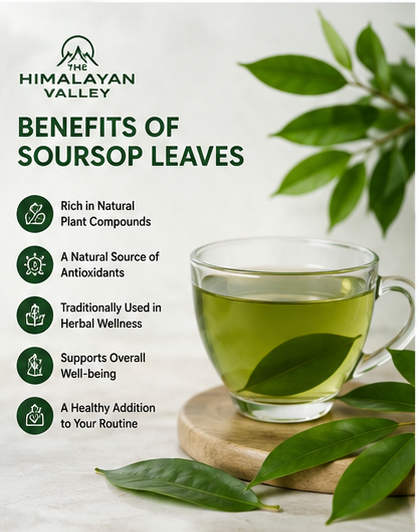 The Himalayan Valley™ Soursop leaves- Pack of 100 Leaves